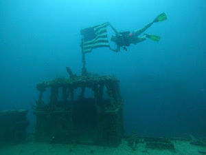 Meet your Posher, Lindsay